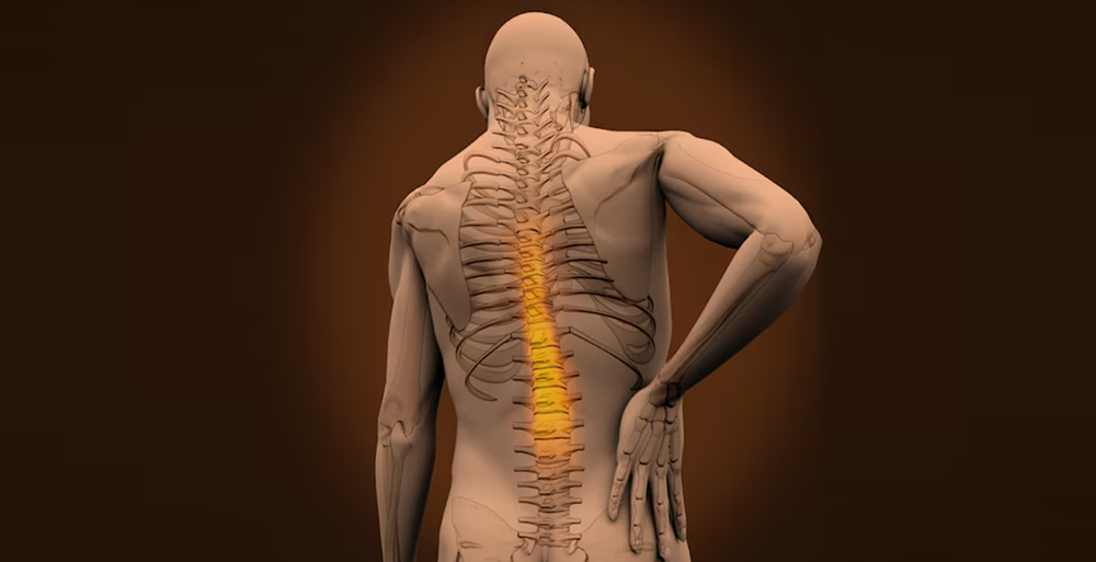 چاپ cd ام ار ای و ctscan در رایحه ریحانه